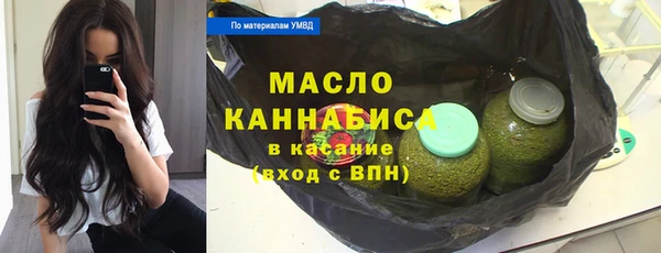 хмурый Каменка