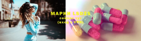 хмурый Каменка