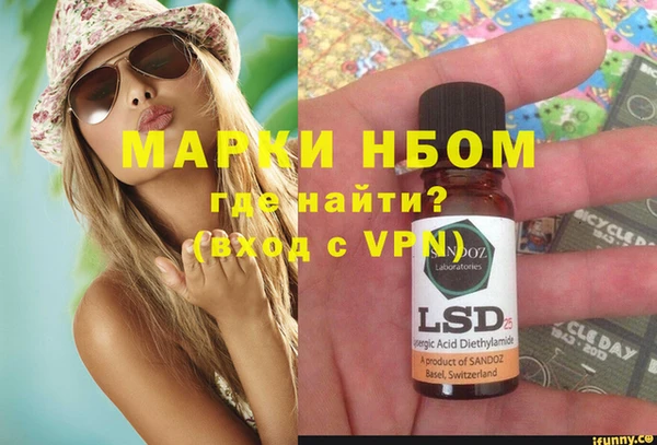 хмурый Каменка