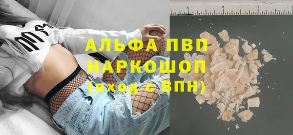 хмурый Каменка