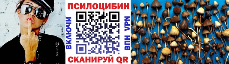 Купить  Ленинск  Галлюциногенные грибы Psilocybine cubensis 