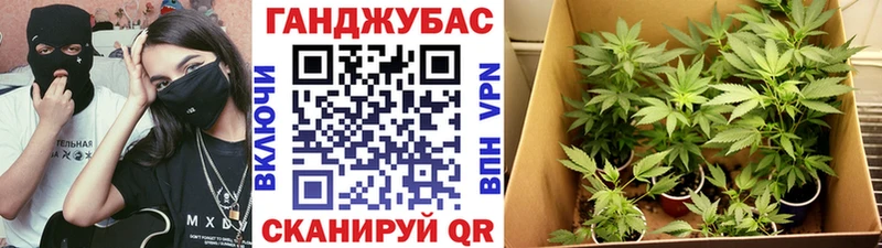 Бошки марихуана White Widow  Купить  Ленинск 
